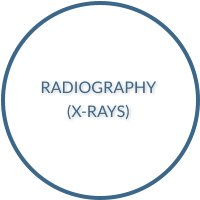 Click here to read about x-rays